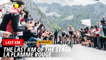 Last Km - Stage 14 - Tour de France 2024