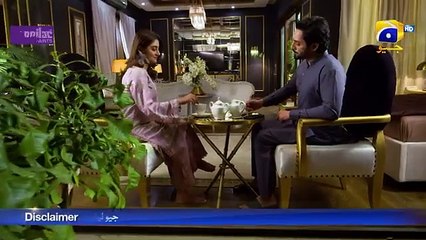 Jaan Nisar Episode 31