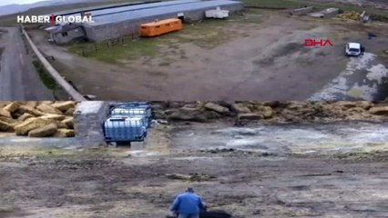 Önceden çalıştığı çiftliğe gelen çoban dehşet saçtı! Kan donduran görüntüler kamerada