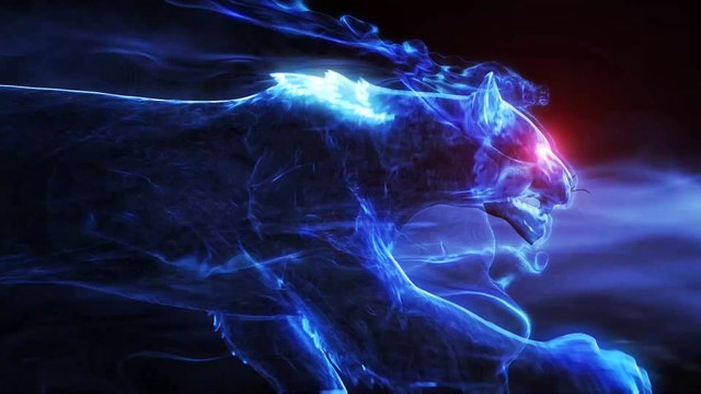 Skmei 1999 Transparent Digital Watch (Review)