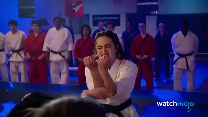 Top 20 Cobra Kai Fights