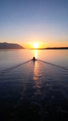 Surah Yasin ( Yaseen )  | Quran Tilawat Beautiful