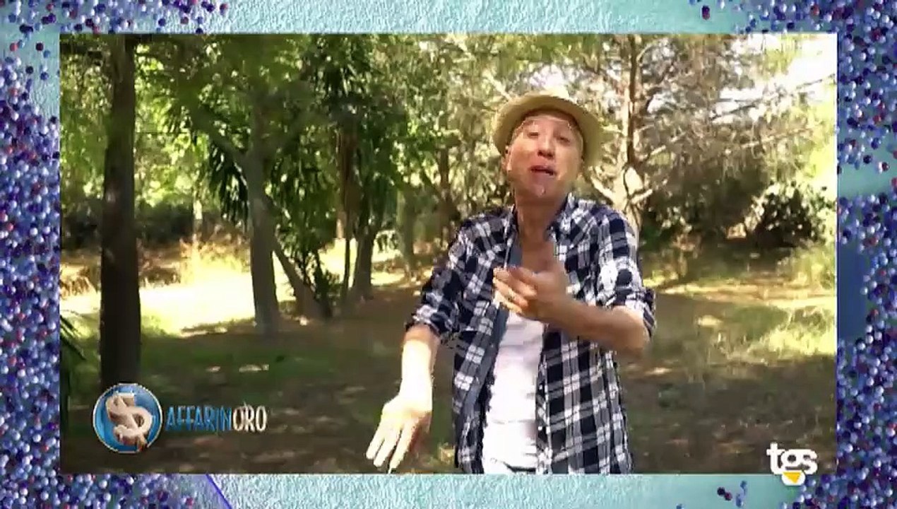 Speciale ritiro Palermo: 13 luglio 2024, la mattinata della squadra