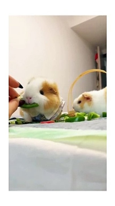 Enjoying breakfast