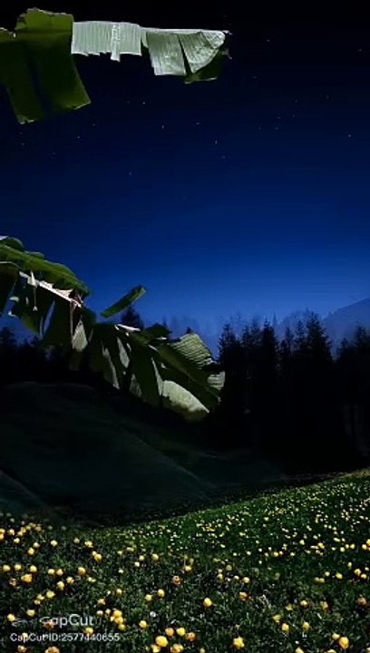 RELAXING Sleep Music +Insomnia  Stress