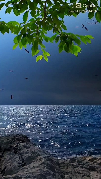 RELAXING Sleep Music +Insomnia  Stress