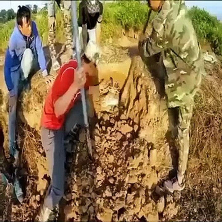 Itna bara saanp 