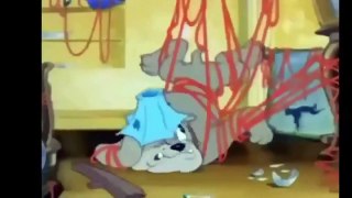 Tom and Jerry Cartoon Full Episodes in English 2016   Tom and Jerry Full Episodes English (28)