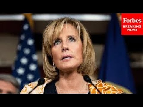 ‘The Democrats Are Attempting To Undermine Our Elections’: Claudia Tenney Promotes SAVE Act