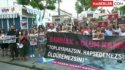 İzmir'de Sokak Hayvanlarıyla İlgili Yasa Tasarısına Karşı Protesto