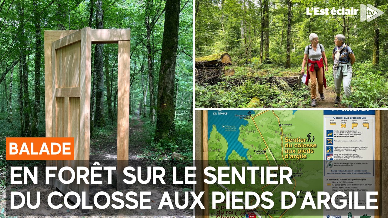 En forêt sur le sentier de randonnée du Colosse aux pieds d’argile dans l'Aube