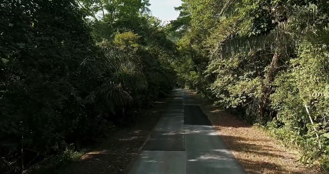 Wild Gleaming Space | movie | 2024 | Official Trailer