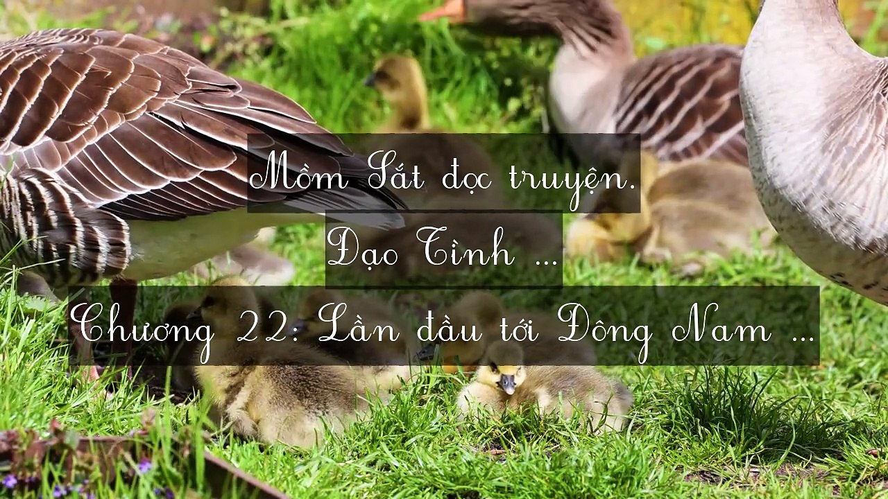 Chương 21-30: Đạo Tình