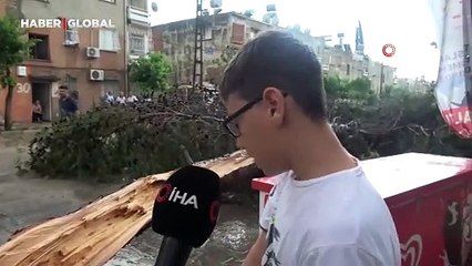 Fırtına ağacı devirdi, küçük çocuk birkaç metreyle kurtuldu