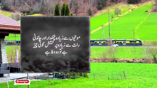 Heart Touching and Amazing Urdu Quotes Collection - Aqwal e Zareen