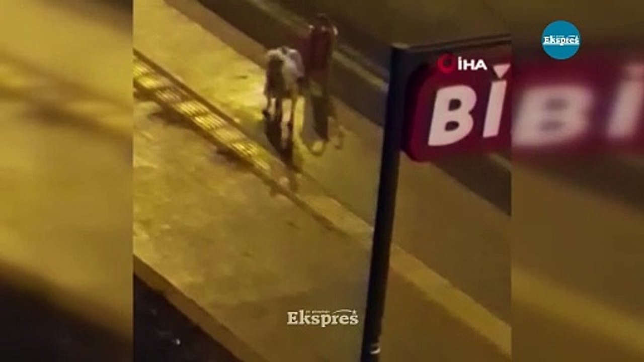 Diyarbakır'da dökülen alkolü içen köpek dakikalarca kuyruğunu ısırmaya çalıştı