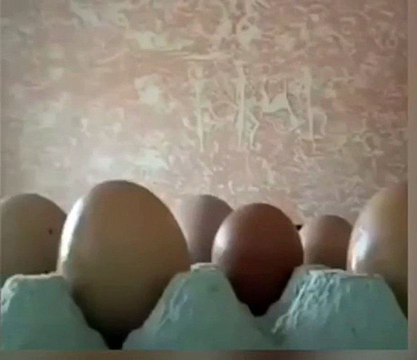 Funnyman eggs video funny