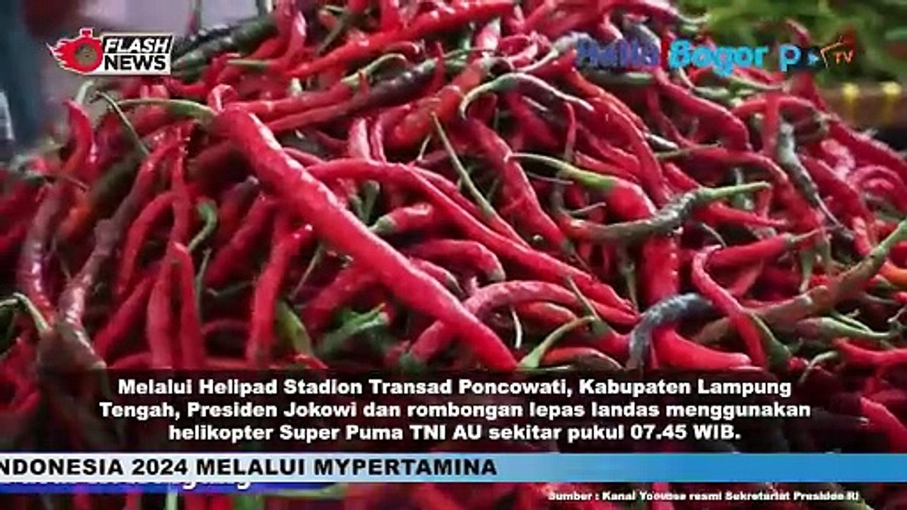 Jokowi Kunjungi Kabupaten Tanggamus: Sidak Pasar dan RSUD di Hari Kedua Kunker Lampung