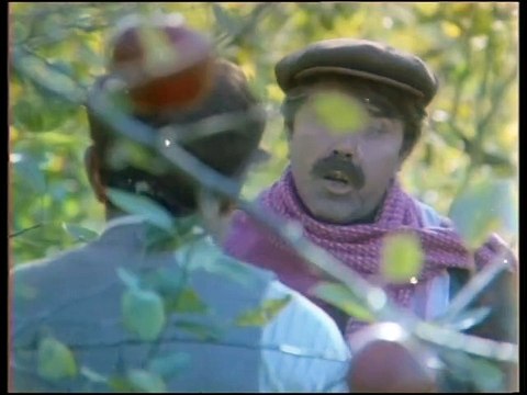 Erkek Güzeli Sefil Bilo 1979