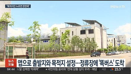 '목적지 누르면 배차'…안산시에 인공지능 '똑버스' 개통