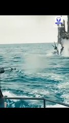 Travel and mix chanal