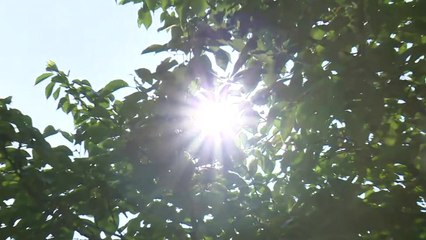 무더위 속 주말...석촌호수 매력에 '풍덩' / YTN