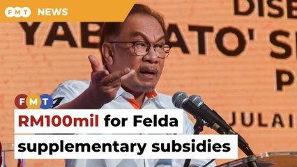 Govt to allocate RM100mil in supplementary subsidies to Felda, says PM