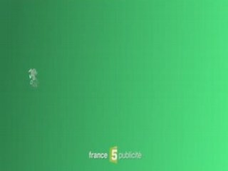France 5 - Jingle pub (16/9 anamorphosé) -2008
