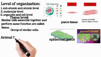 level of organizationin human body| Lecture # 2 part (ii) || introduction to biology | chapter # 1