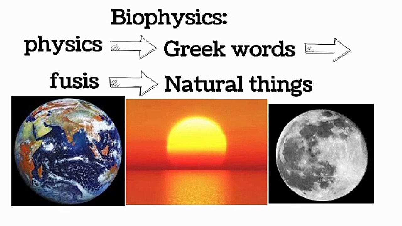 relationship of biology to other sciences class 9 /introduction  to Biology || Lecture # 5