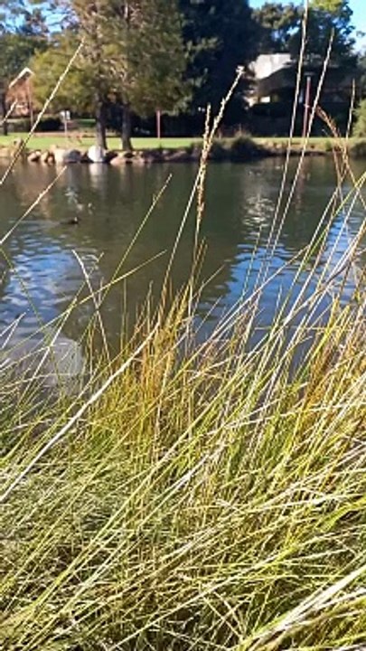 Armadale Western Australia 2
