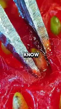 Terrifying Facts You Won't Believe Exist! | Shocking History Revealed!