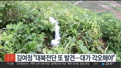 김여정 "대북전단 또 발견…대가 각오해야"