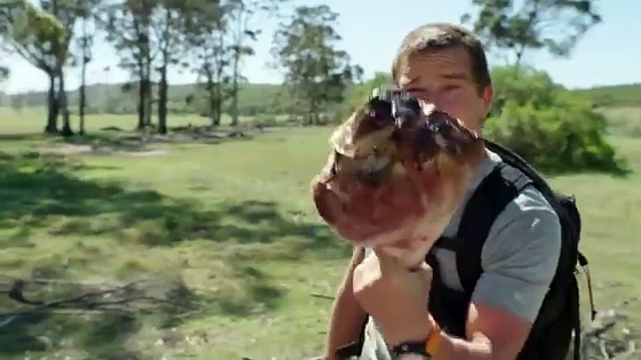 Bear Grylls Chased by a Lion _ Animals on the Loose- A You vs. Wild Movie _ Netf