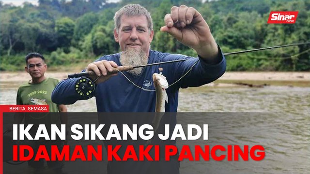 Ikan Sikang Sungai Berang jadi idaman kaki pancing