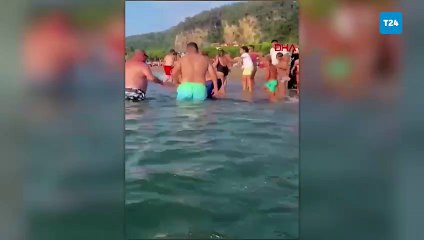 Kıyıya vuran yavru yunusu vatandaşlar kurtardı