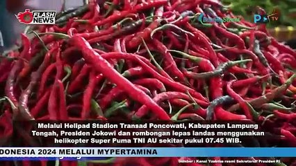 Jokowi Kunjungi Tanggamus di Hari Kedua Kunker Lampung, Lanjut Sidak ke RSUD dan Pasar Kota
