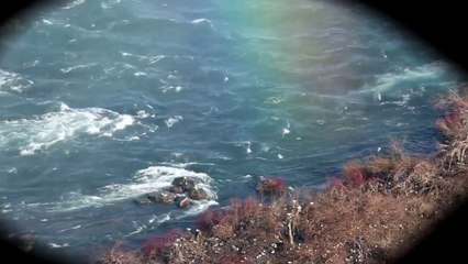 1 - Musica Gospel - Felicidade - Pastor Carlos Barbosa