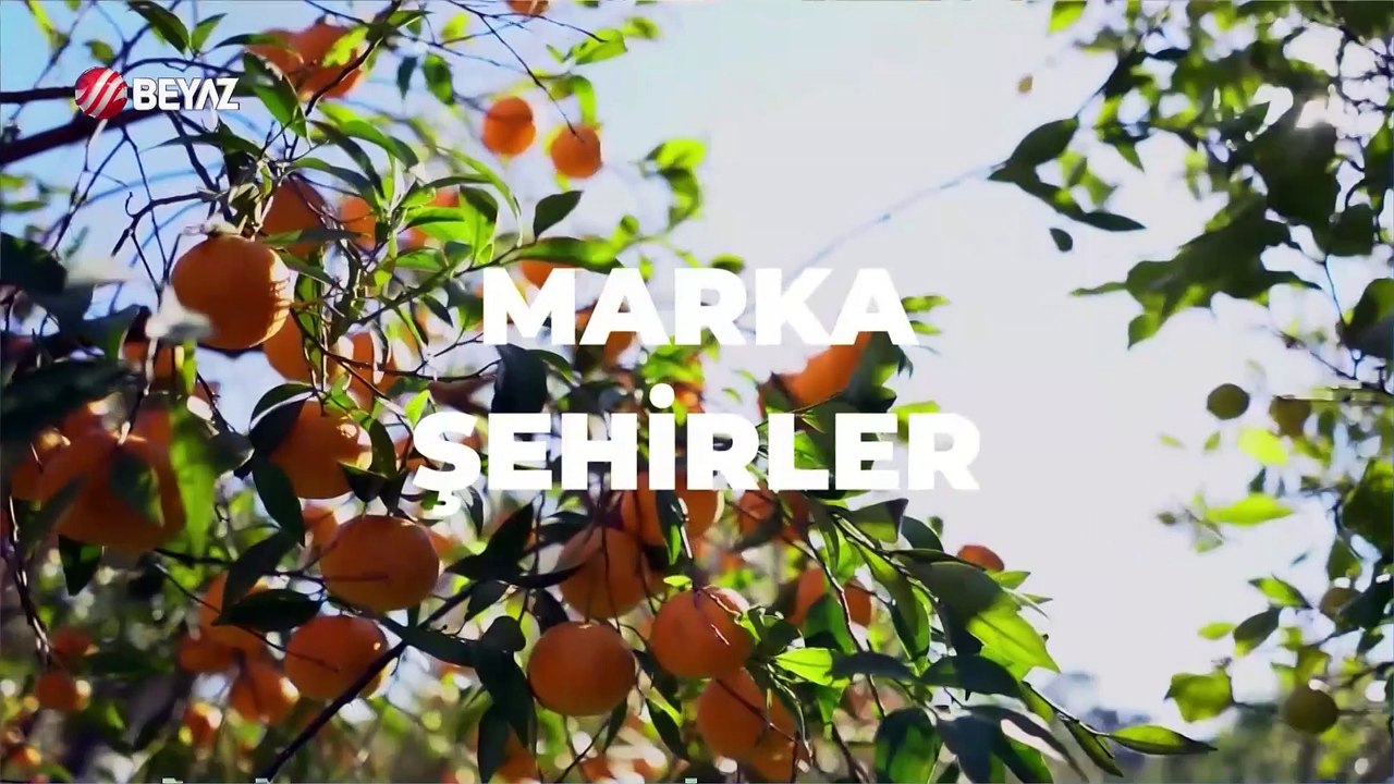 Marka Şehirler 14 Temmuz 2024