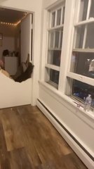 Person Breaks Locked Door While Trying to Push it Open