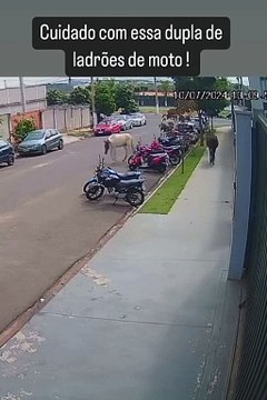 Cavalos 'furtam' moto em plena luz do dia em Dourados