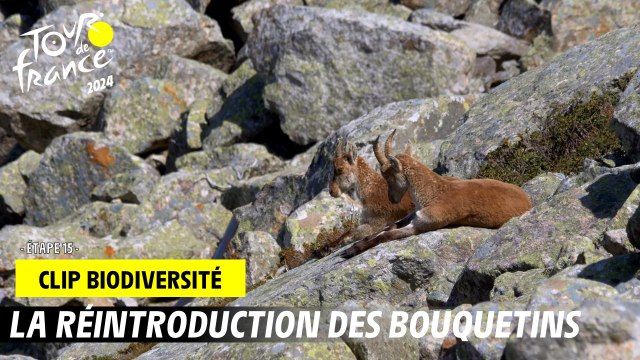 Tour de France de la biodiversité - Etape 15 - #TDF2024