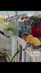 Pistoli friends rabbit