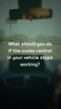 UAE: What to do if your car's cruise control fails? Dubai Police issue advisory