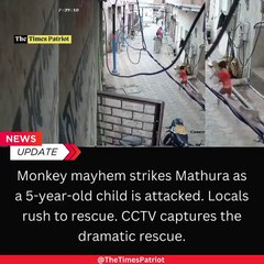 Shocking CCTV Footage: 5-Year-Old Attacked by Monkeys in Mathura, Locals Rush to Rescue!