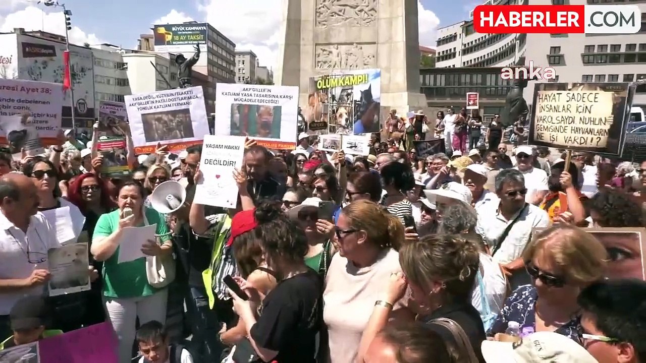 Hayvan Hakları Savunucuları, Ötanazi Kanun Teklifine Karşı Eylem Yaptı