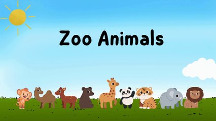 Zoo Animals | Grade 1 | English Online Classes | Reading