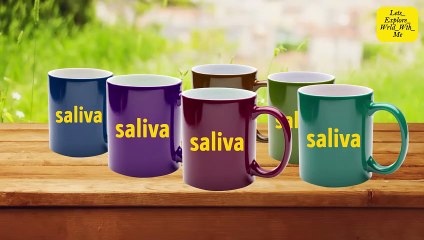 Human Body Interesting FACTS