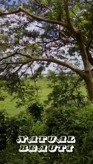 Channel's Journey: A Story Unfolds