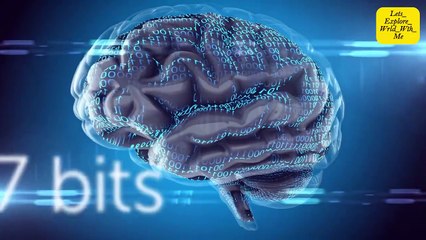 Human Body Interesting FACTS